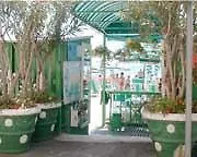 Hotel Flora 3*